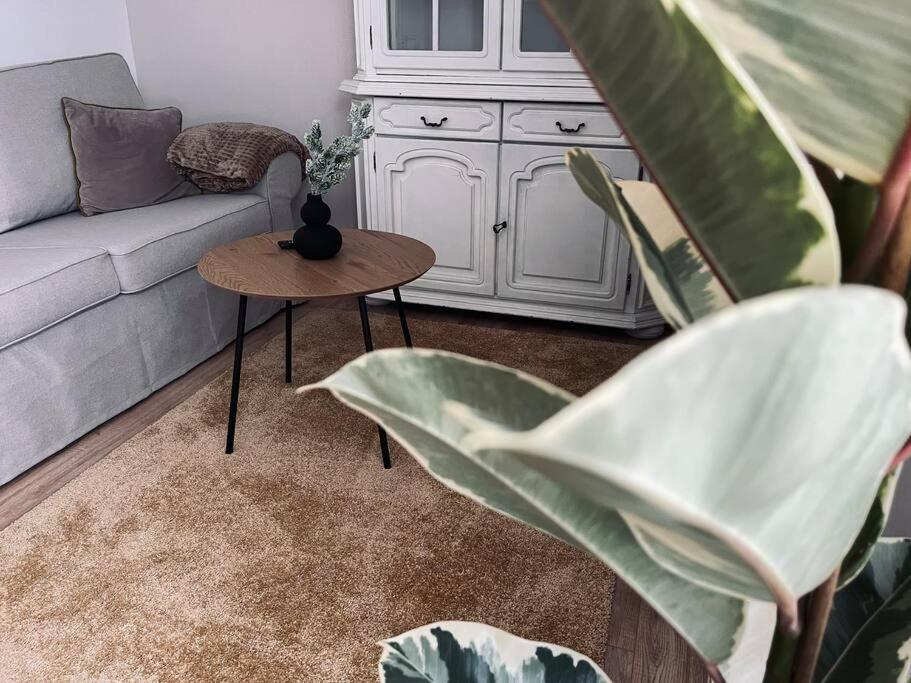 Apartment Kuscheliges Am Limes